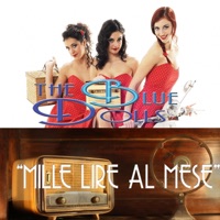 il pinguino innamorato