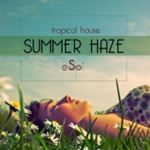 Summer Haze artwork