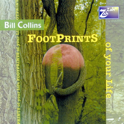 Footprints of Your Life (feat. Demetrios Pappas, Jef Lee Johnson, Steve Beskrone, Harry Butch Reed, Dr. Gibbs, Lenny Pierro, Ron Kerber, Bill Zacagni, Katie Eagleson & Kelly Meashey)