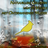 Natuurlijke Geluiden van de Vogels met Ontspannende Muziek - Jamie Llewellyn