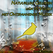 Natuurlijke Geluiden van de Vogels met Ontspannende Muziek