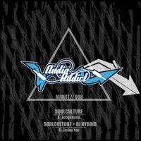Judgement / Losing You - Single - Soulculture & Soulculture & DJ Hybrid