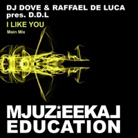 I Like You (DJ Dove Presents) - Single - DDL