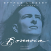 Borrasca - Ottmar Liebert & Luna Negra