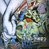 כשאת לצידי - Single - Avi Mesika