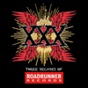 XXX: Three Decades of Roadrunner Records, 2013