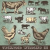 Bandrauschen (Weisses Berlin Mix) cover art