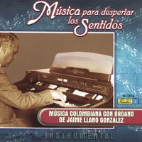 Jaime Llano González