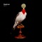 Bad Kingdom (Marcel Dettmann Remix) - Moderat lyrics