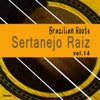 Sertanejo Raiz, Vol. 14