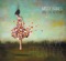 Kite - Missy Raines & the New Hip lyrics