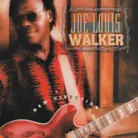 Mr. G's Boogie — Joe Louis Walker