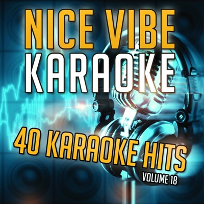 Nice Vibe - Stay the Same (Karaoke Version) [Originally Performed By Joey McEntire]