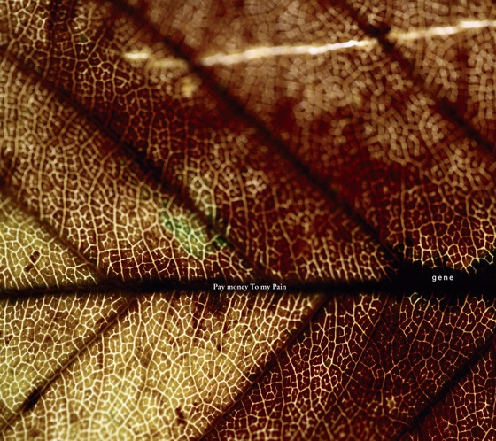 Cover artwork for Respect for the dead man