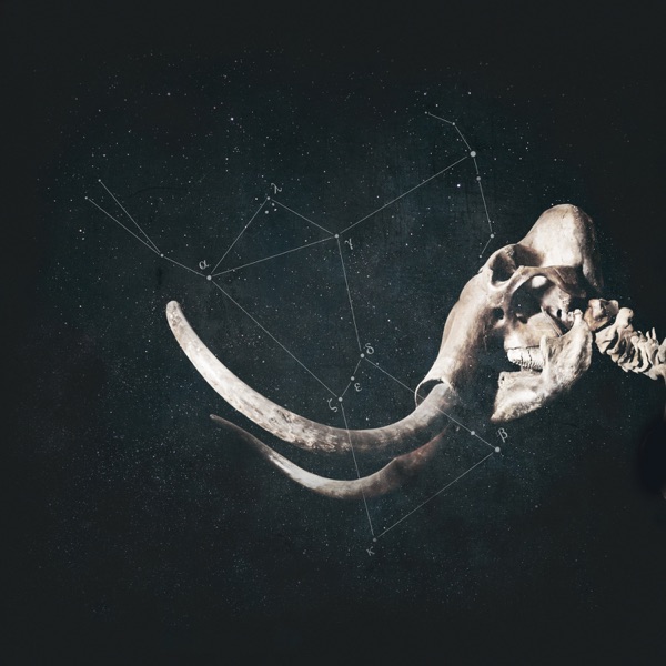 Rei Blanc - Single