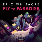 Fly to Paradise (Main Mix) artwork