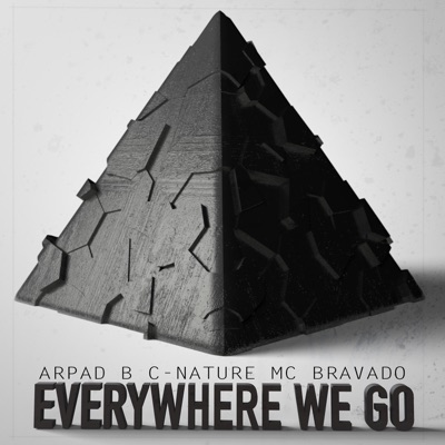 Everywhere We Go (feat. C-Nature & MC Bravado) - Single