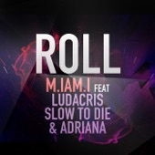 Roll feat. Ludacris, Slow To Die & Adriana artwork