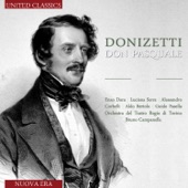 Donizetti: Don Pasquale artwork