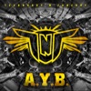 A.Y.B. - Single