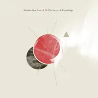 White Lies — Number One Gun