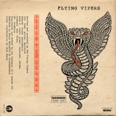 Flying Vipers - Dragon Snout