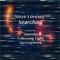 Searching - Steve Lovesey lyrics