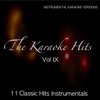 The Karaoke Hits Vol. 9 - Classic Hits Instrumentals - Liev Karaoke Band