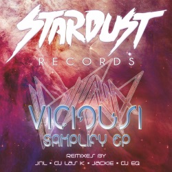 Viciousi - Rollo Vice (Jnl Remix)