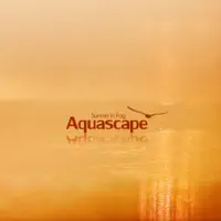 Sunrise — Aquascape