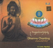 Dharma Chating of Peacefull Mind artwork