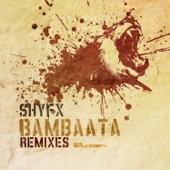 Bambaata (Break / Dillinja Remixes) - Single