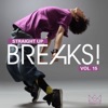 BAD BOYZ OF BREAKZ - Don't Stop The Rock