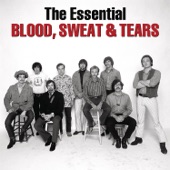 The Essential Blood, Sweat & Tears artwork