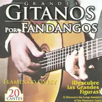 No Quiero Escuchar Tu Voz — Chato de la Isla