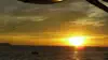 ENDLESS SUMMER NIGHT