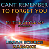 Can't Remember to Forget You (In the Style of Shakira and Rihanna) Instrumental Version. - Urban Source Karaoke