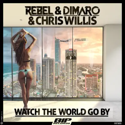 Watch the World Go By (Extended Mix) - Single - Chris Willis