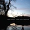 Astringent - Andy Hunter lyrics