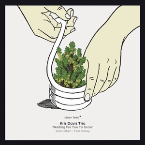 Waiting for You to Grow (feat. John Hébert & Tom Rainey)