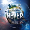 Never (Miami Rockers vs. Tiger & Dragon) [feat. Cashpa] - Single