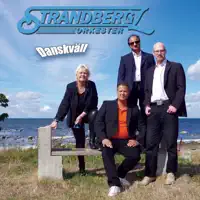 Did I Tell You — Strandbergz