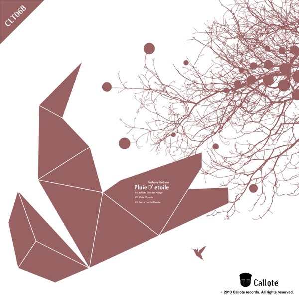 Pluie D' Etoile - Single