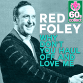 Why Don'y You Haul Off and Love Me (Remastered) - Red Foley