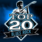 Top 20 Blues Rock artwork