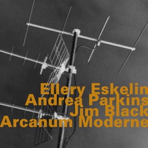 Arcanum Moderne (feat. Andrea Parkins & Jim Black)