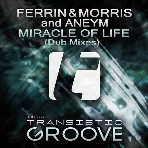 Miracle of Life (Dub) - Single