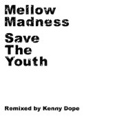 Save the Youth (Kenny Dope 7 Inch Mix) artwork