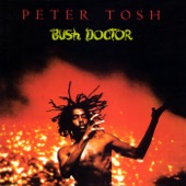 Bush Doctor artwork