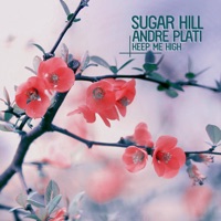 Keep Me High - EP - Sugar Hill & Andre Plati
